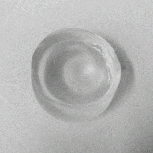 羧甲基纖維素鈉凝膠化作用
